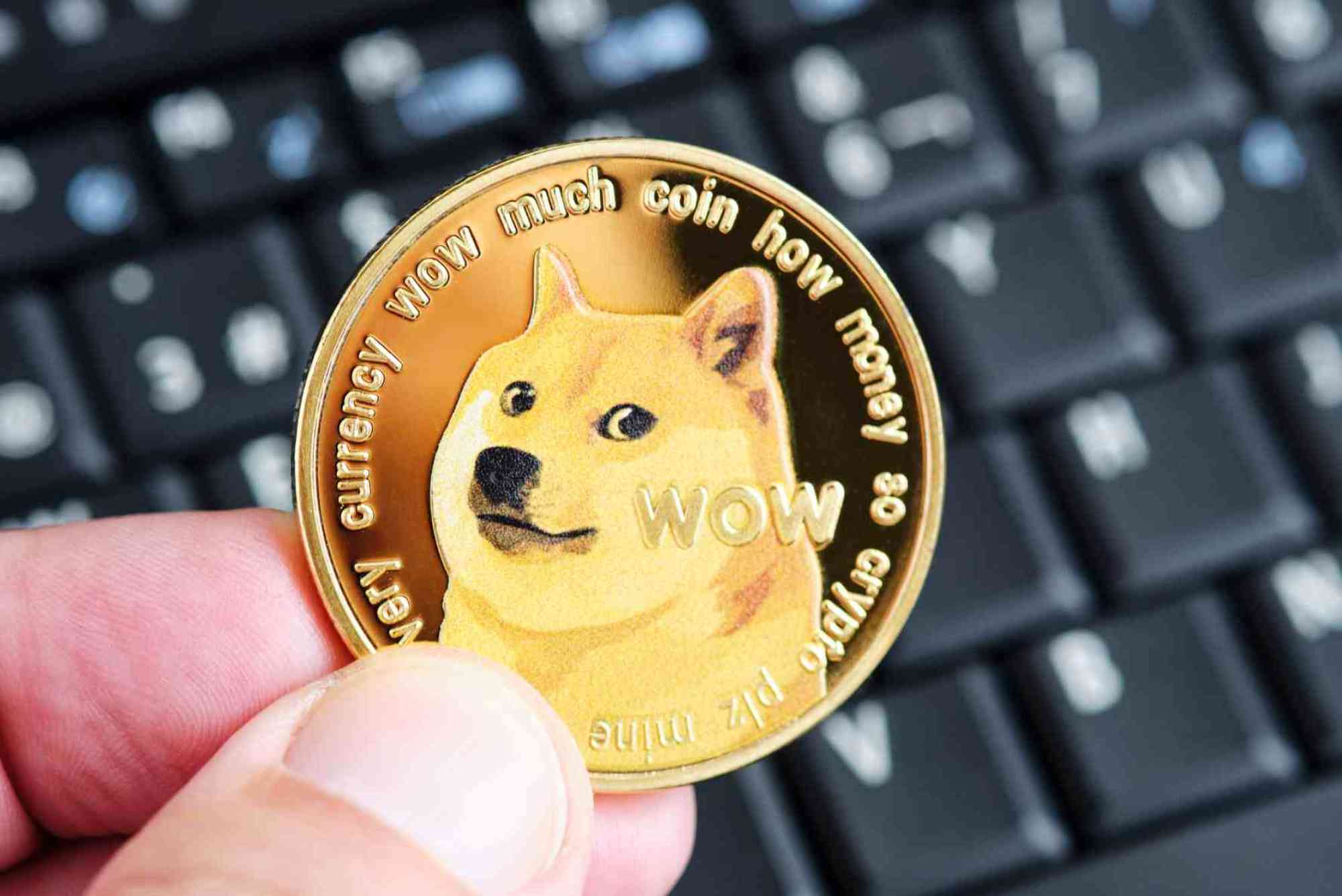 How to Invest in Dogecoin