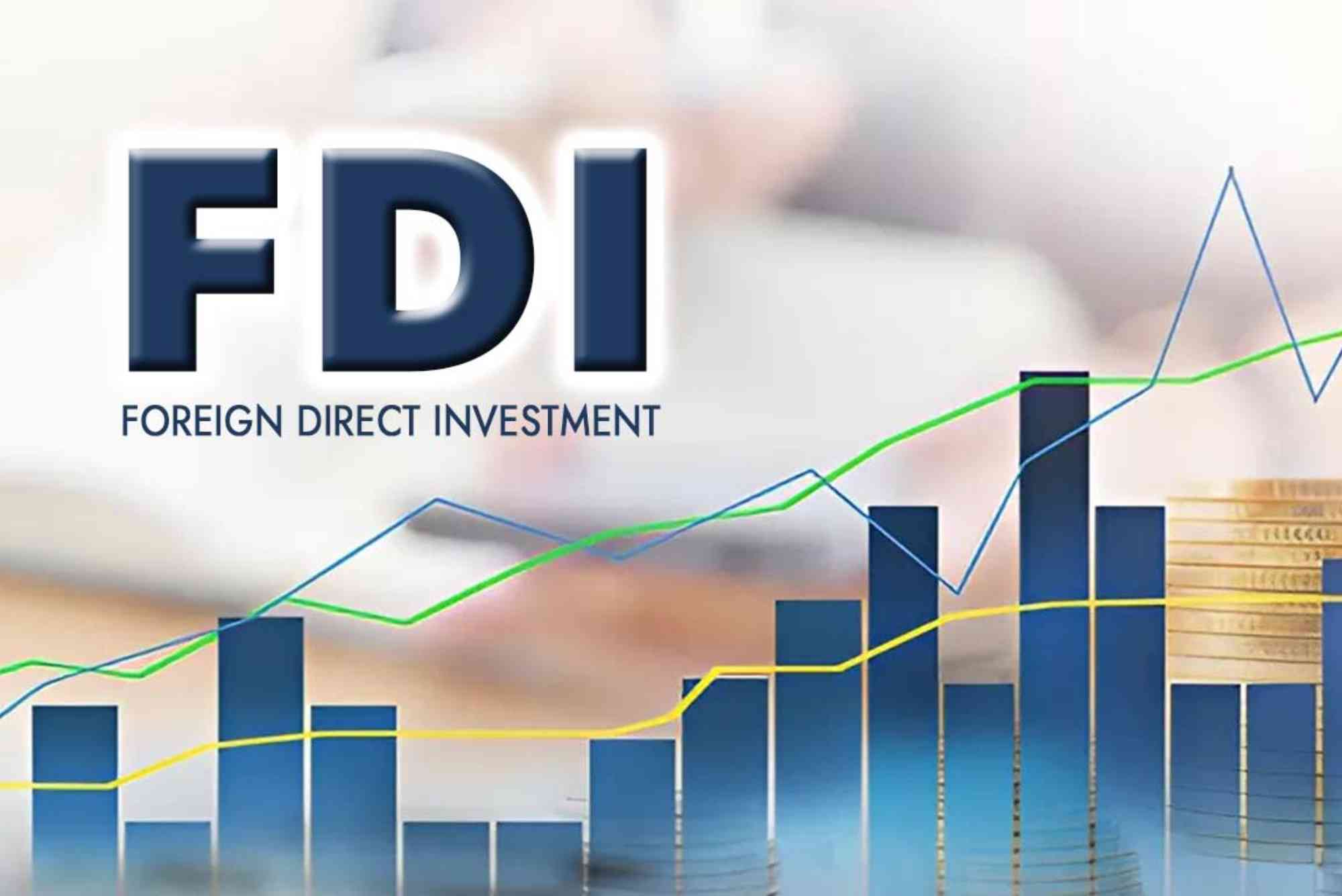 What Is Foreign Direct Investment?