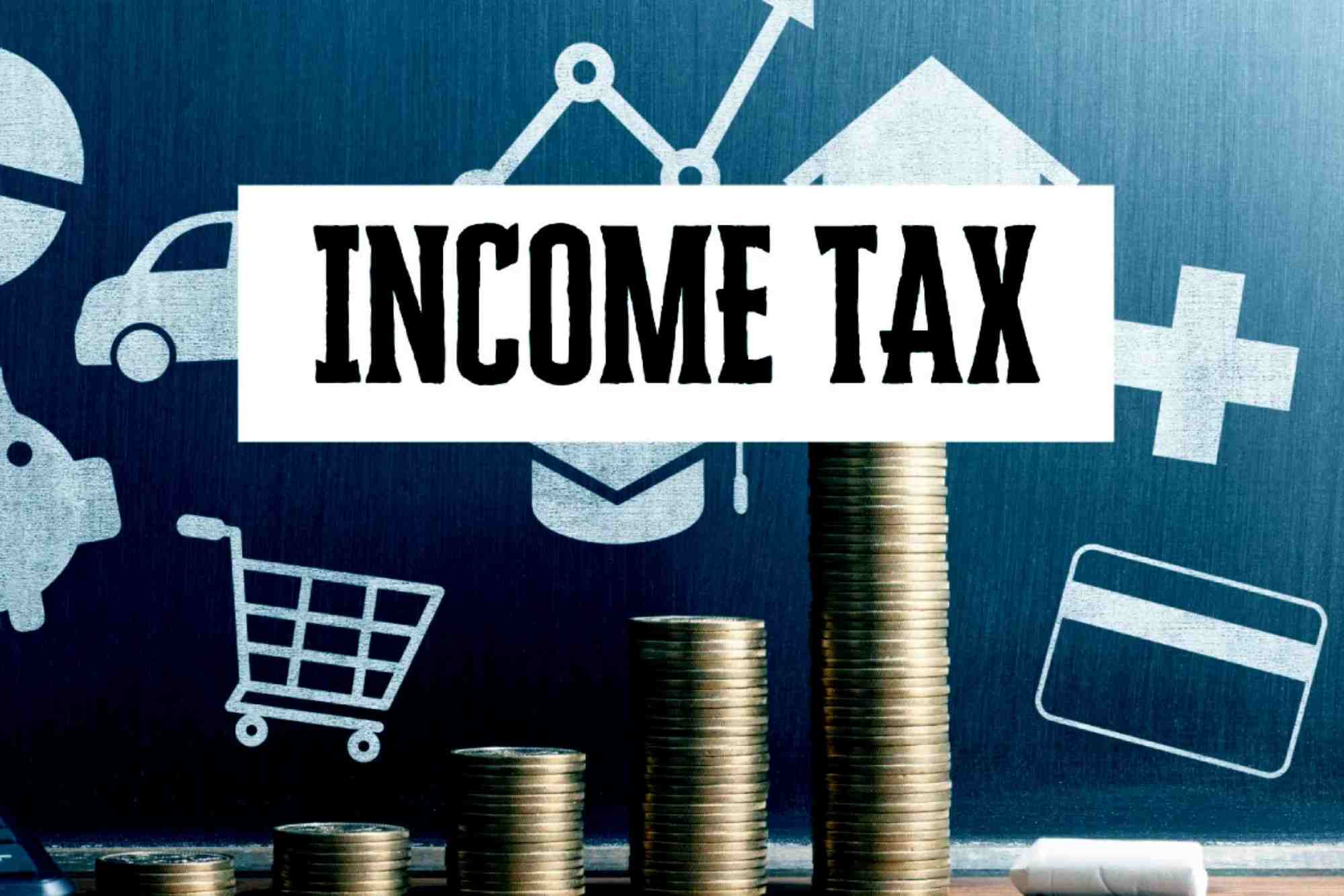What Is Income Tax Used For?