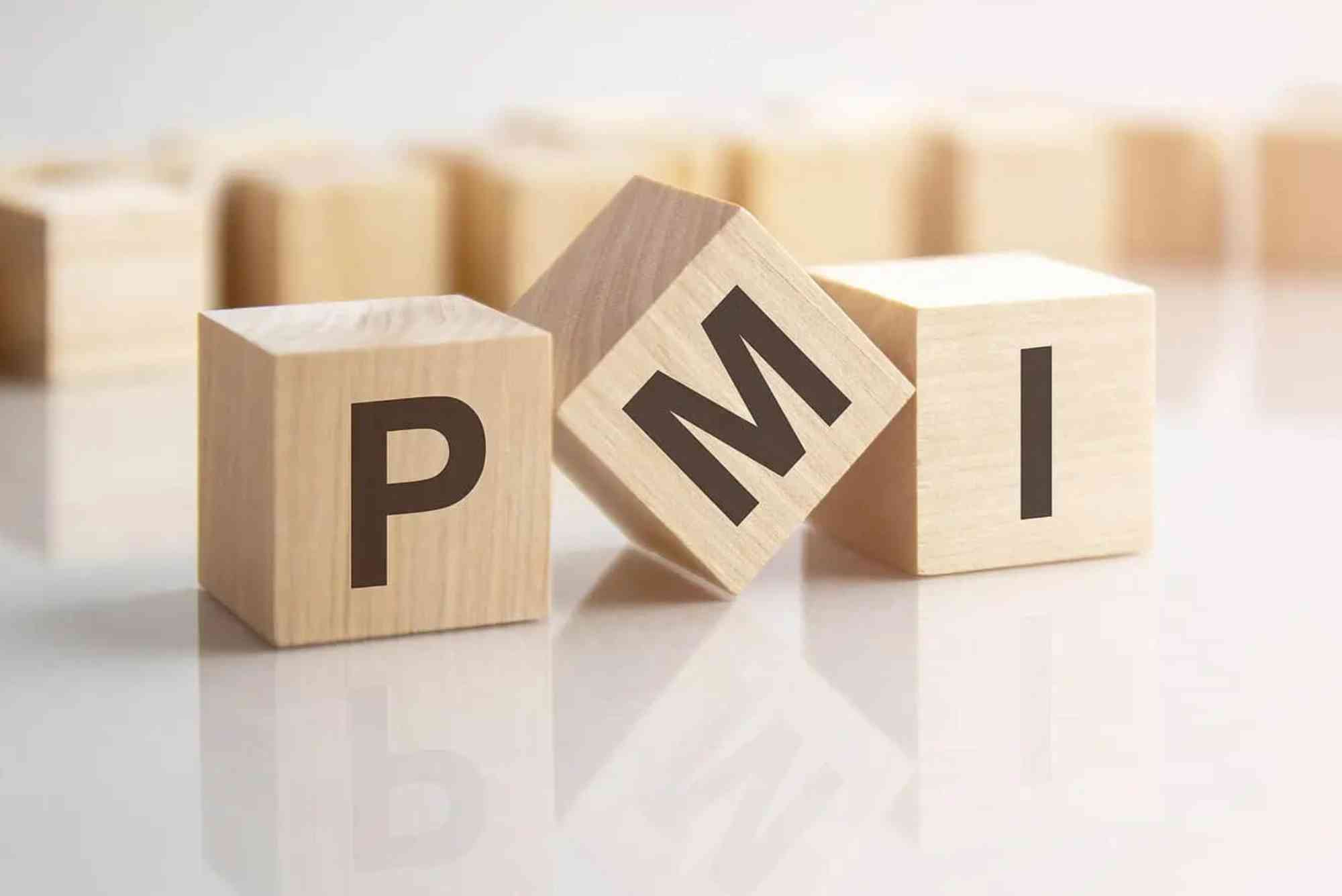 What Is Pmi Insurance in the UAE?