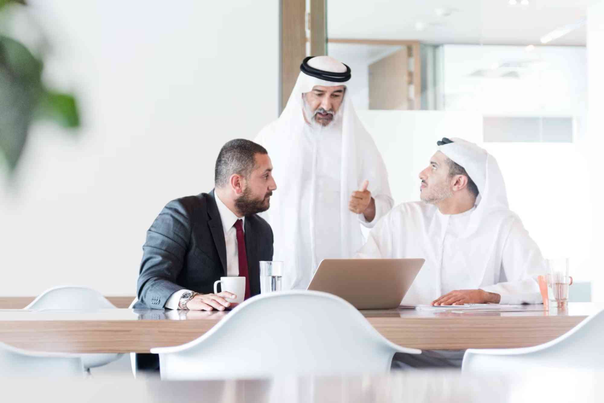 What Is Public Insurance in the UAE
