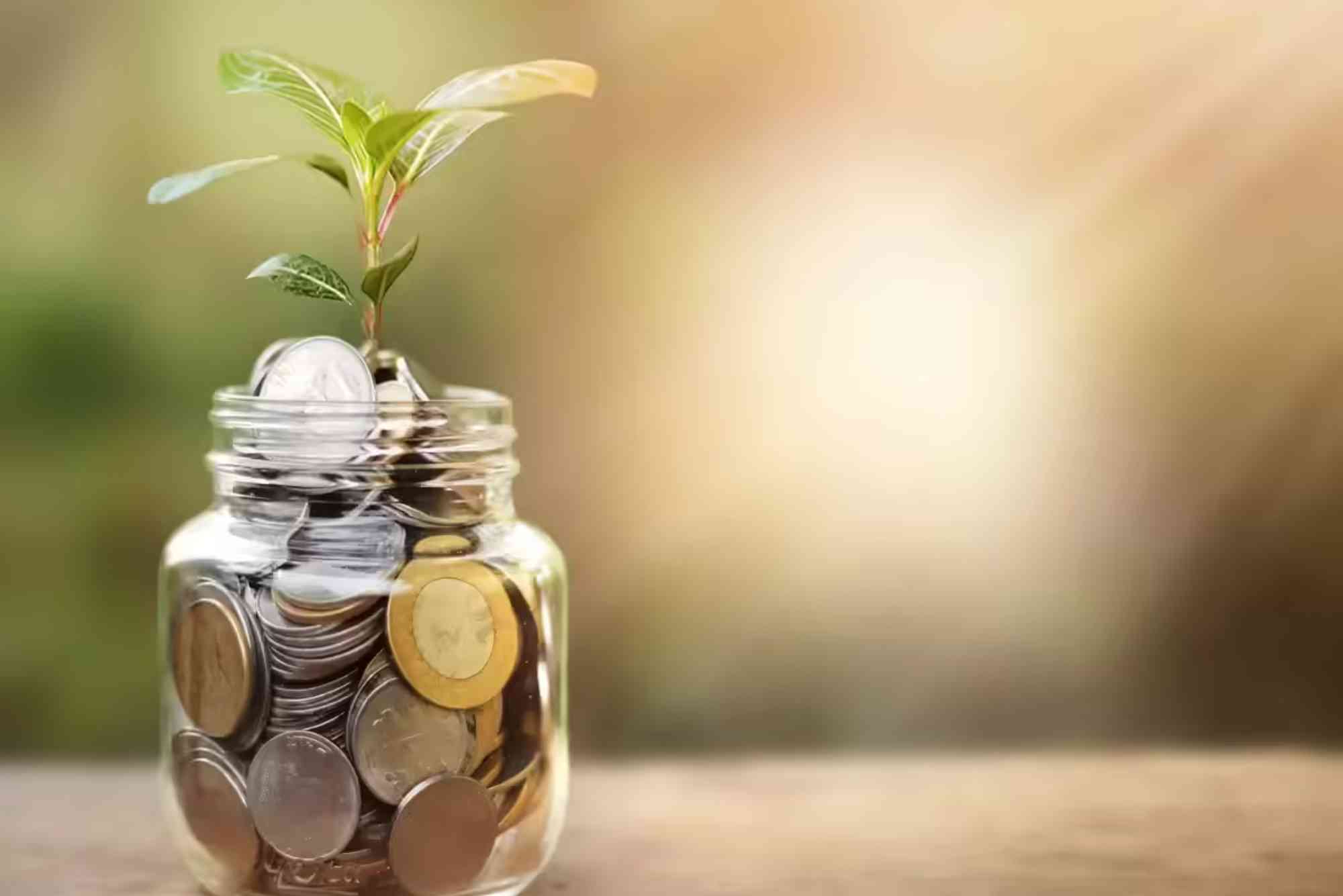 Where to Invest 5 Lakhs?