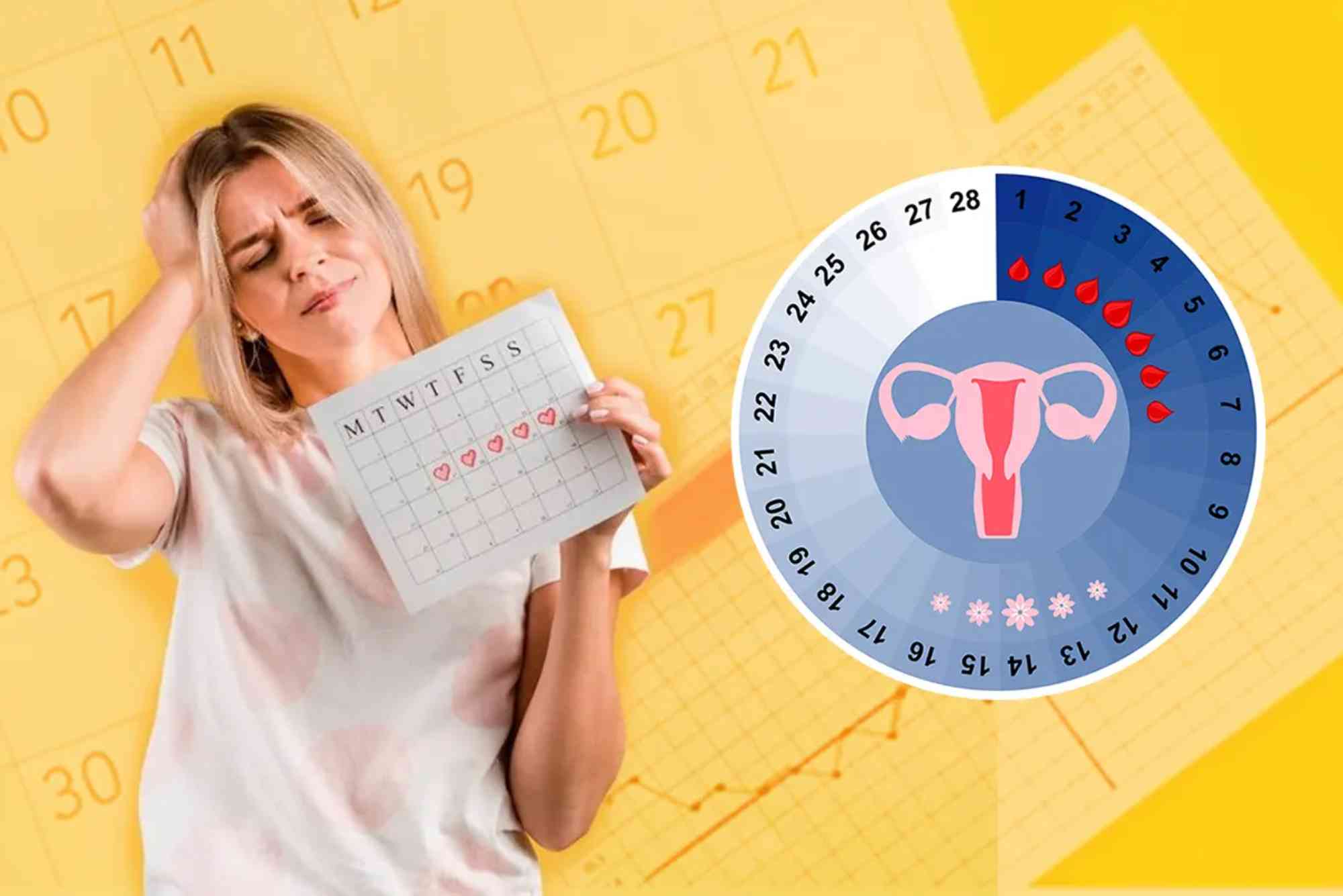 How to Calculate Your Fertile Period
