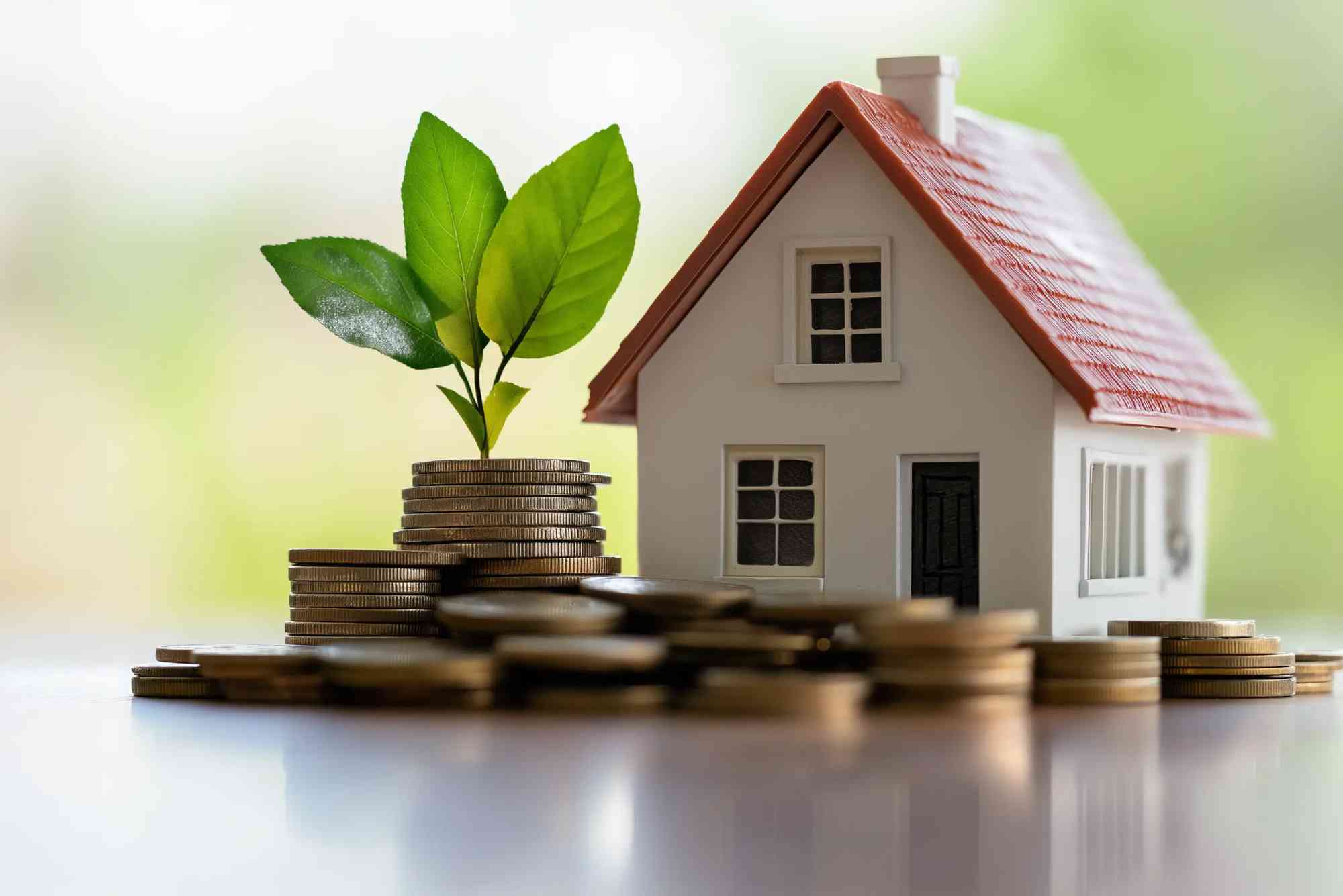 Where to Buy Investment Property?