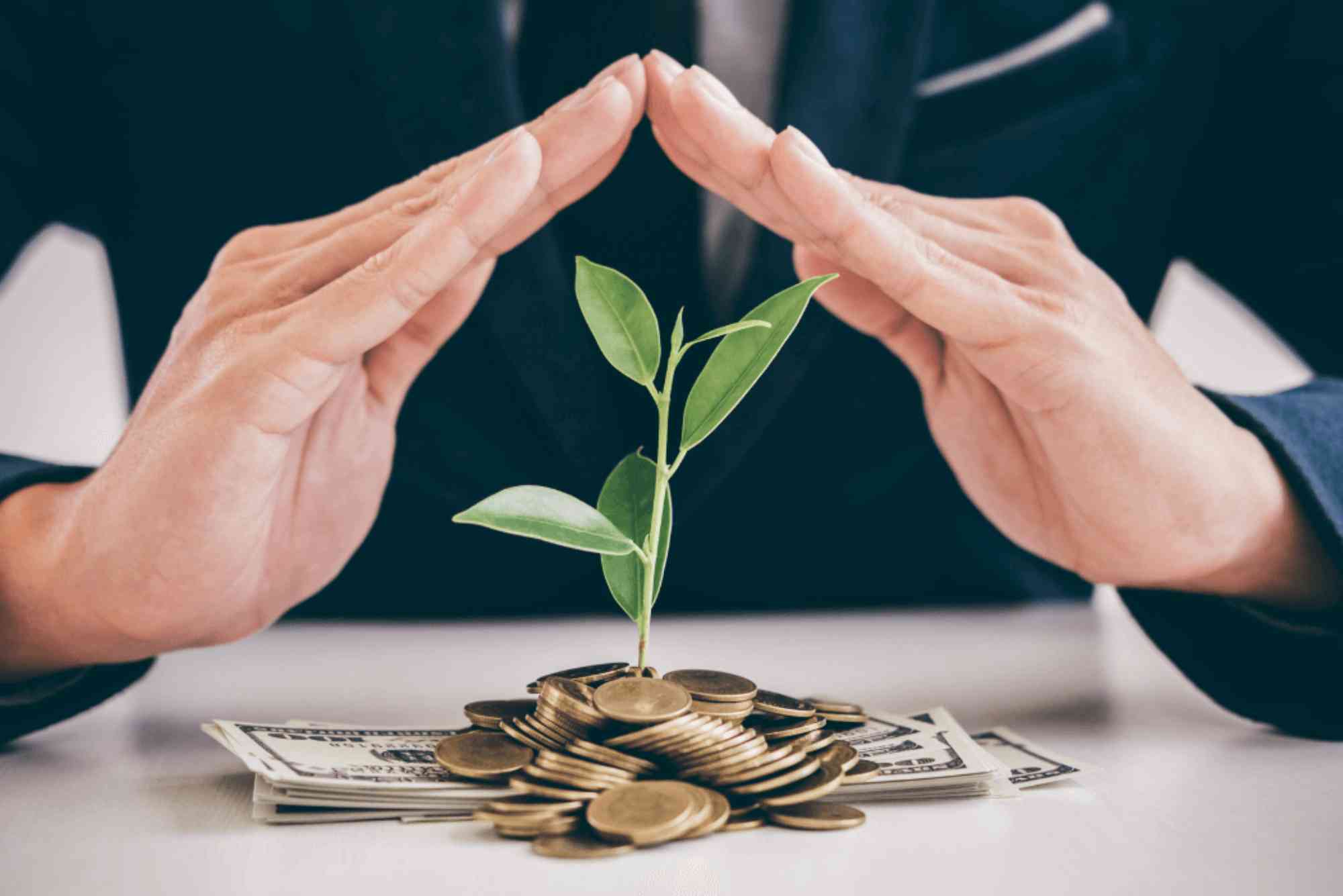 How to Invest Cash?